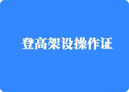 操操逼网操逼网登高架设操作证